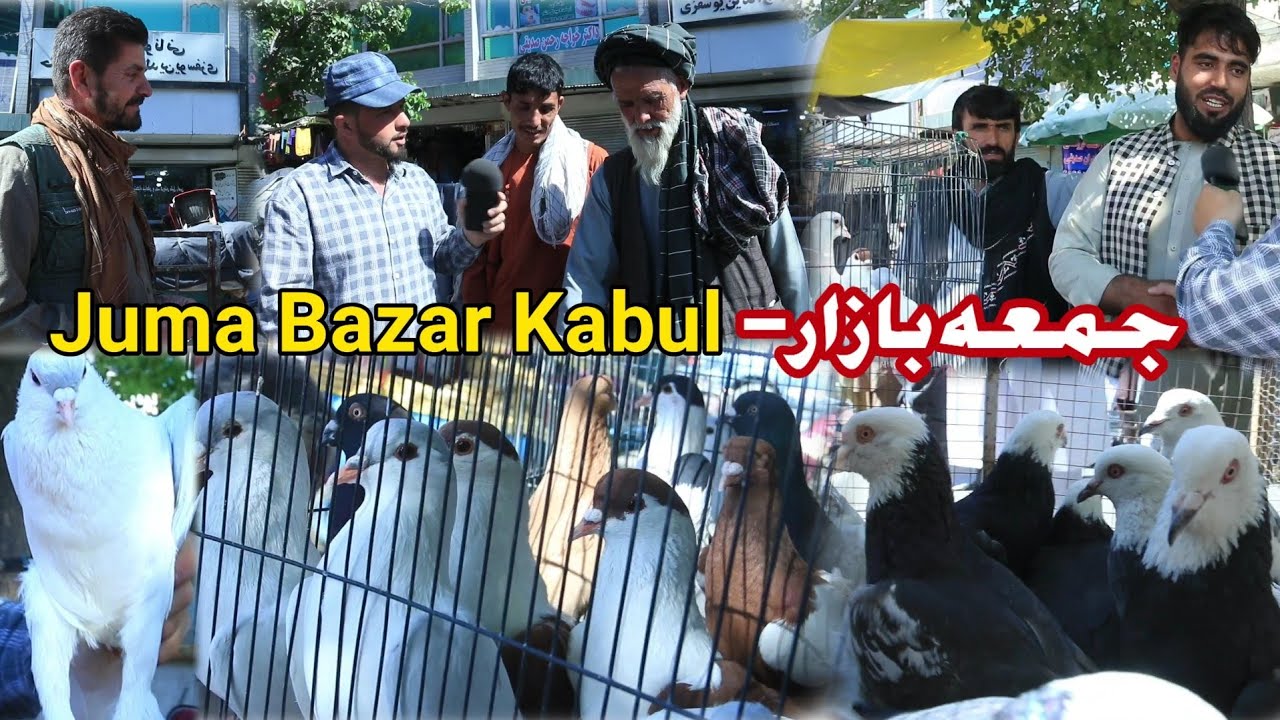 جمعه بازار کوچه کاه فروشی کابل | Juma Bazar | Biggest Bazar Kabul Afghanistan | Update 09-6-2023