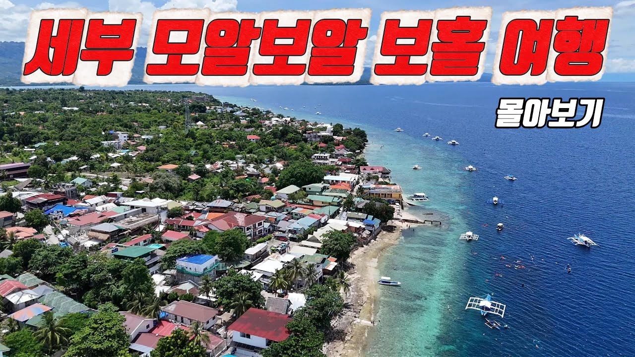 [몰아보기] 필리핀 세부 모알보알 보홀 여행 스쿠버 다이빙 PADI 오픈워터 자격증 취득 오토바이 렌트 여행