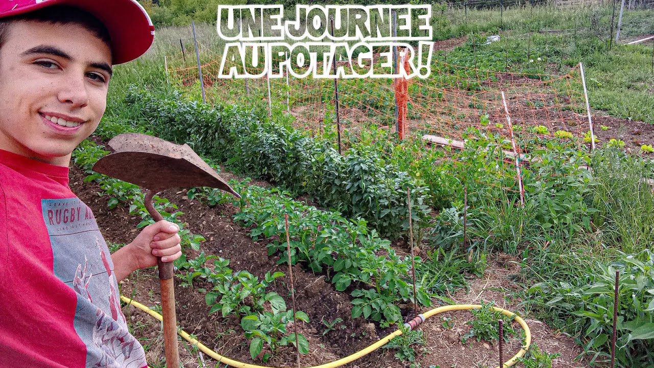 Une journée de travaux avec moi au Potager ! BROYEUR|TOMATES|BUTTAGE|RÉCOLTES|