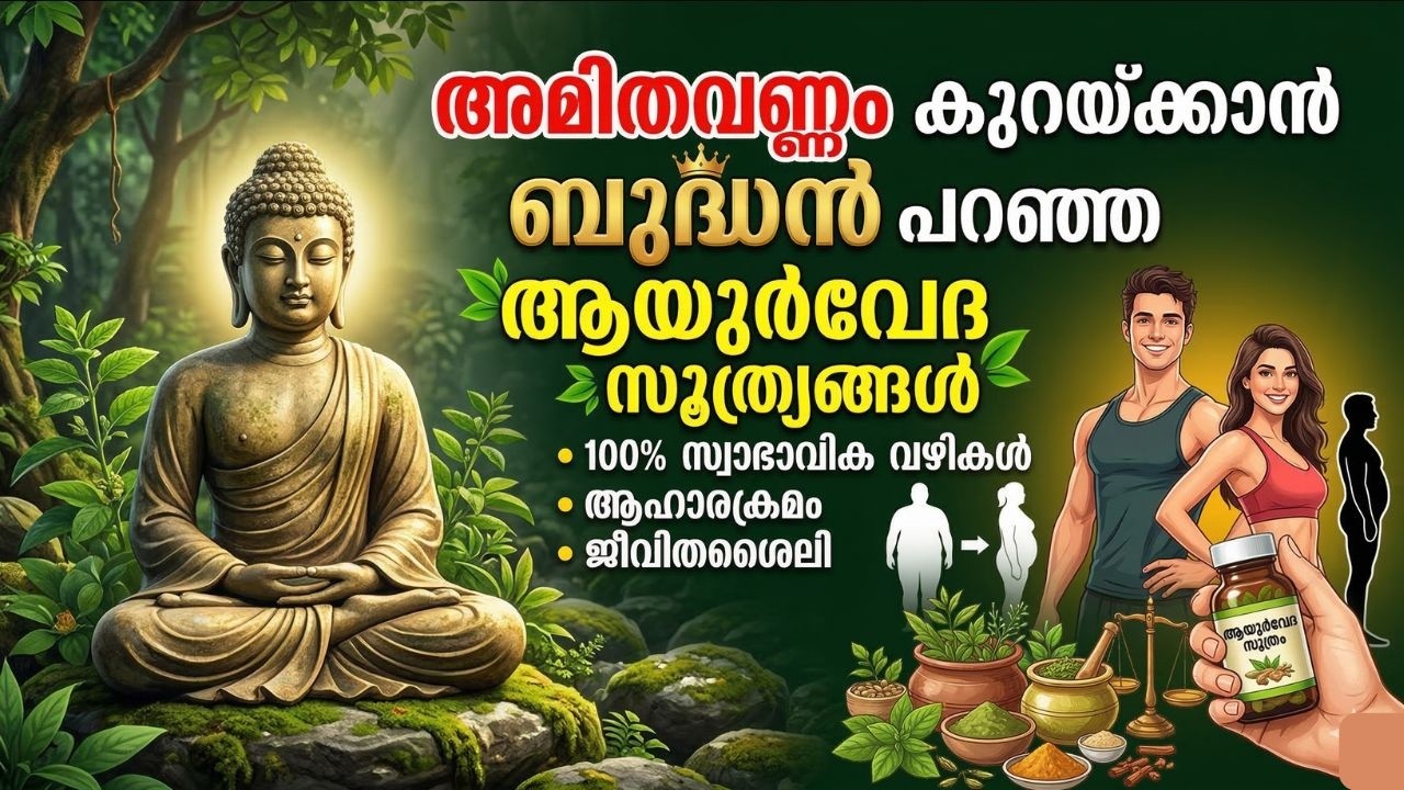 വണ്ണം കുറയ്ക്കാൻ ബുദ്ധൻ പറഞ്ഞ അത്ഭുതകരമായ ആയുർവേദ രഹസ്യങ്ങൾ | Ayurveda Health Tips