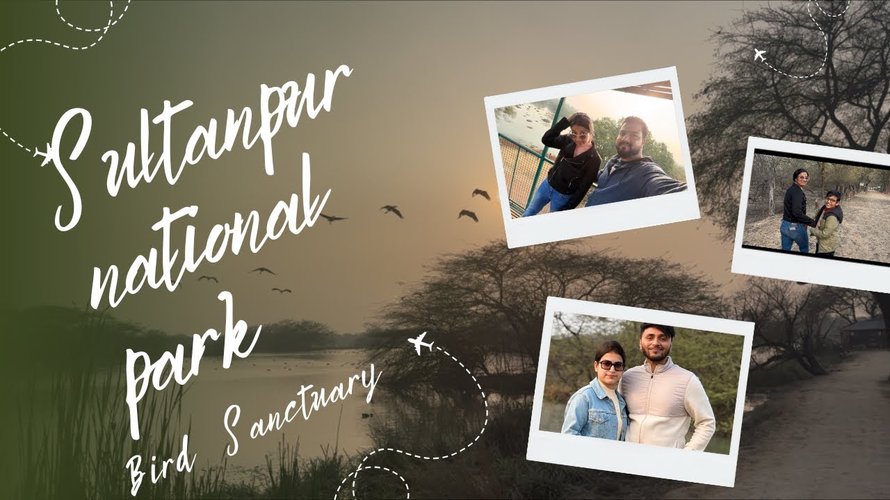Exploring Sultanpur Bird Sanctuary | Hidden Nature Spot in Gurugram | Surbhi Singh 