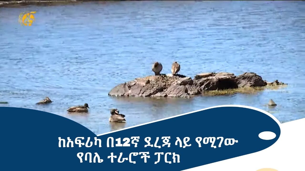 ከአፍሪካ በ12ኛ ደረጃ ላይ የሚገው የባሌ ተራሮች ፓርክ
