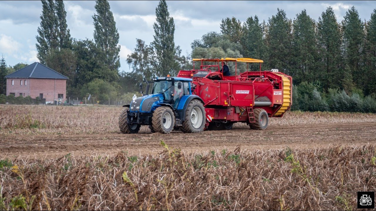 Arrachage de pomme de terre 2020 - VALTRA T162 - Grimme SV260