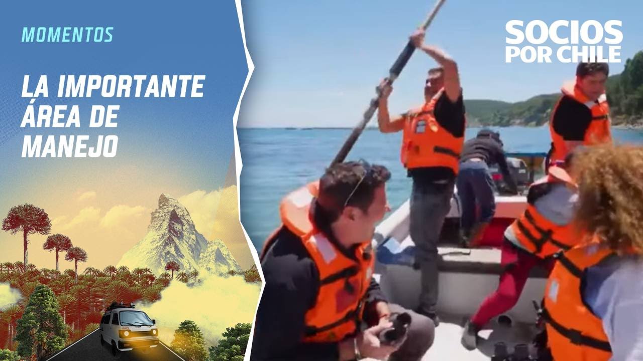 Pancho, Jorge y Pedro Ruminot recorren las aguas de Cocholgüe | Socios por Chile | Canal 13