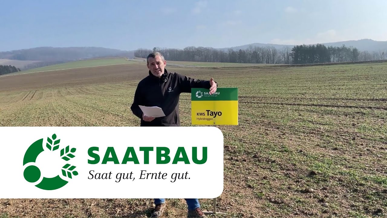 Winterroggen Bestandesführung Februar 2021 | SAATBAU LINZ