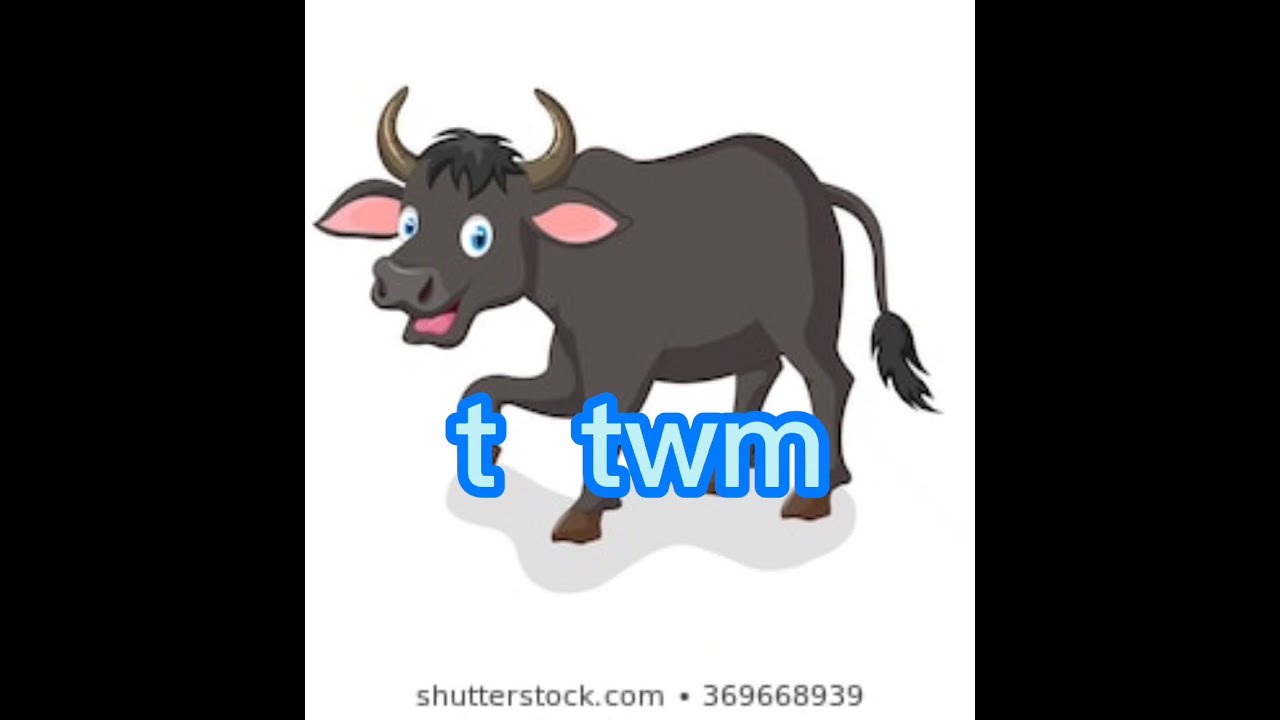 kawm ntawv hmoob   เรียนภาษาม้ง