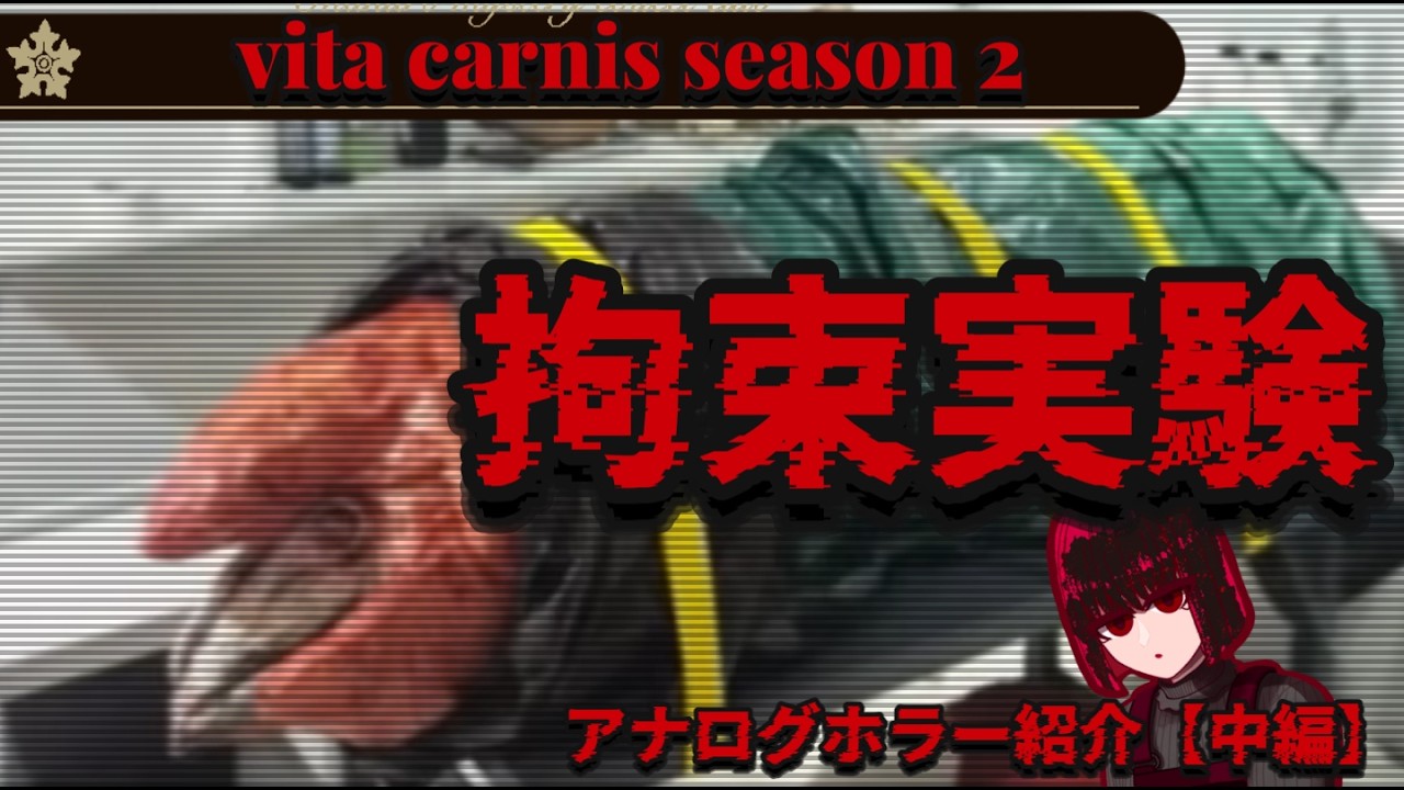 【赤い革命】「vita carnis」について解説、考察します【中編】【analog horror/アナログホラー解説】修正版