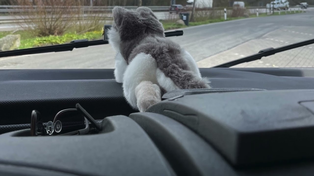 #64 Bella LAIKA on Tour -Fehmarn- 2022