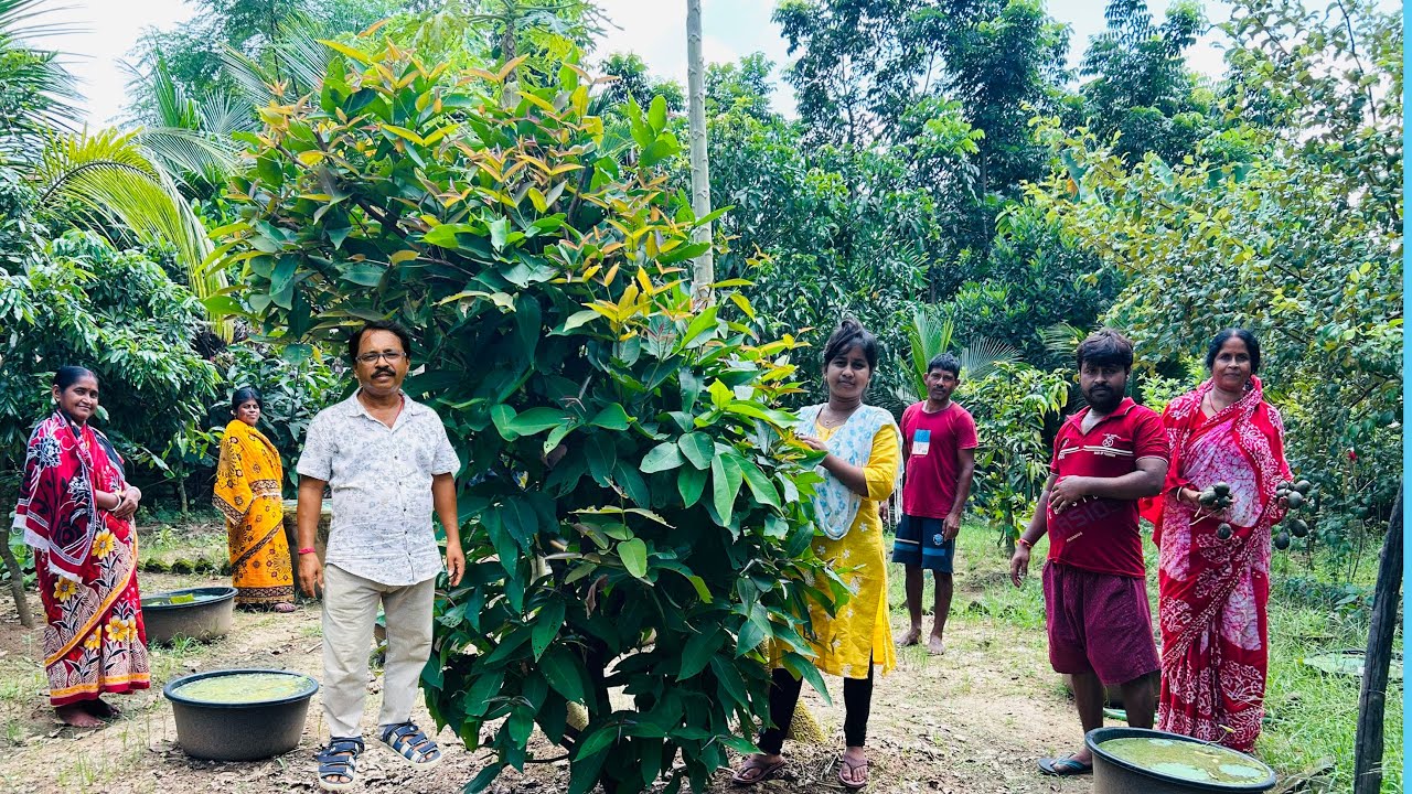 ভাই তো চলে গেল বেঙ্গালুরুতে আর আমরা সবাই বাড়িতে কি কি করলাম//