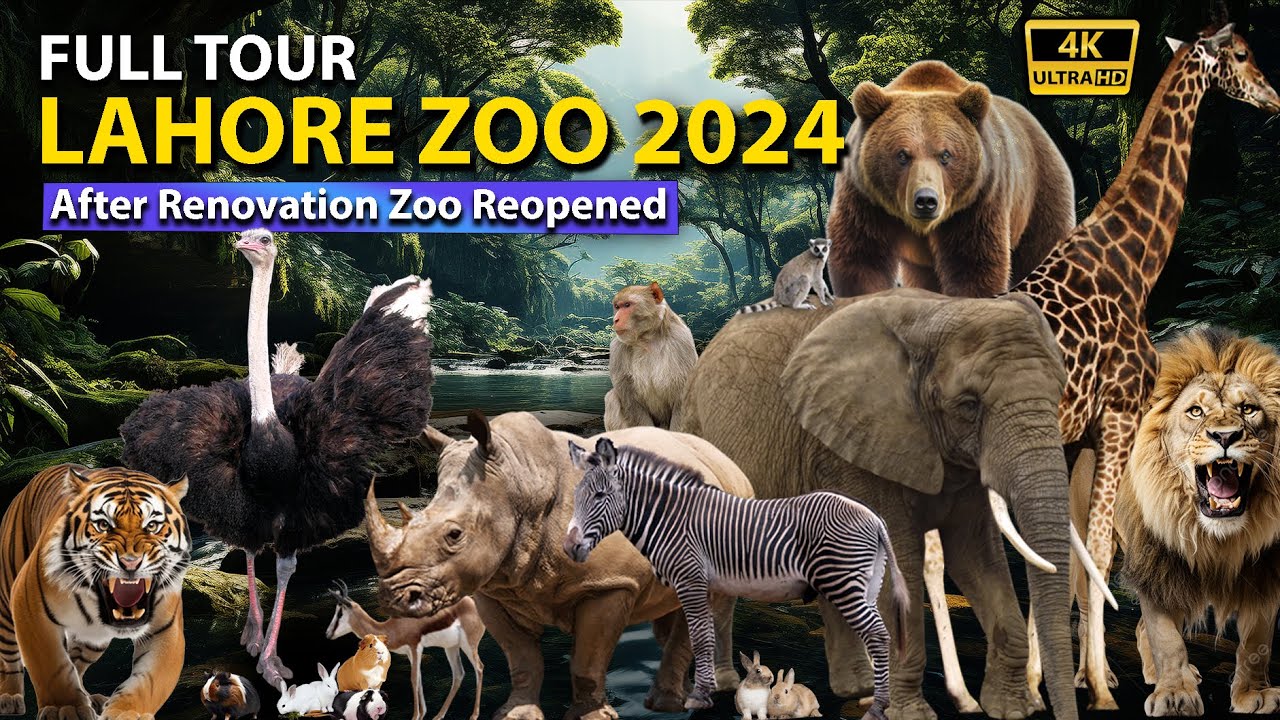 Lahore Zoo Reopened 😍 || Lahore Zoo 2024 Latest Video ||Lahore Zoo 2024 || Lahore Zoo Renovation