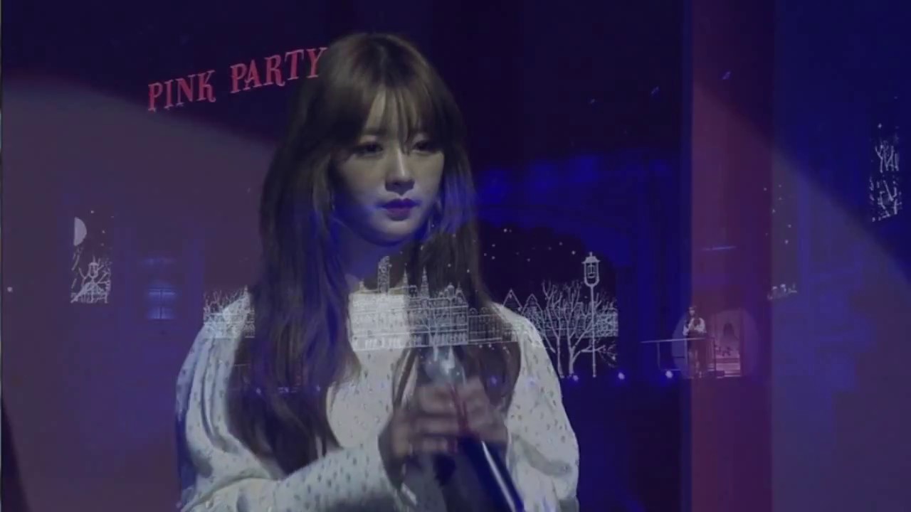 Apink 3rd Concert 