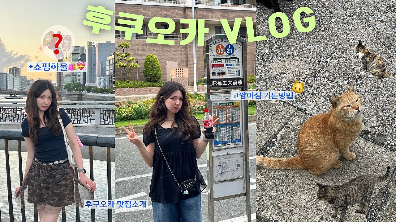 이 여자는 무료로 다 알려줍니다 🩵| 후쿠오카 VLOG+하울까지 (맛집·고양이섬·쇼핑까지 싹!) 