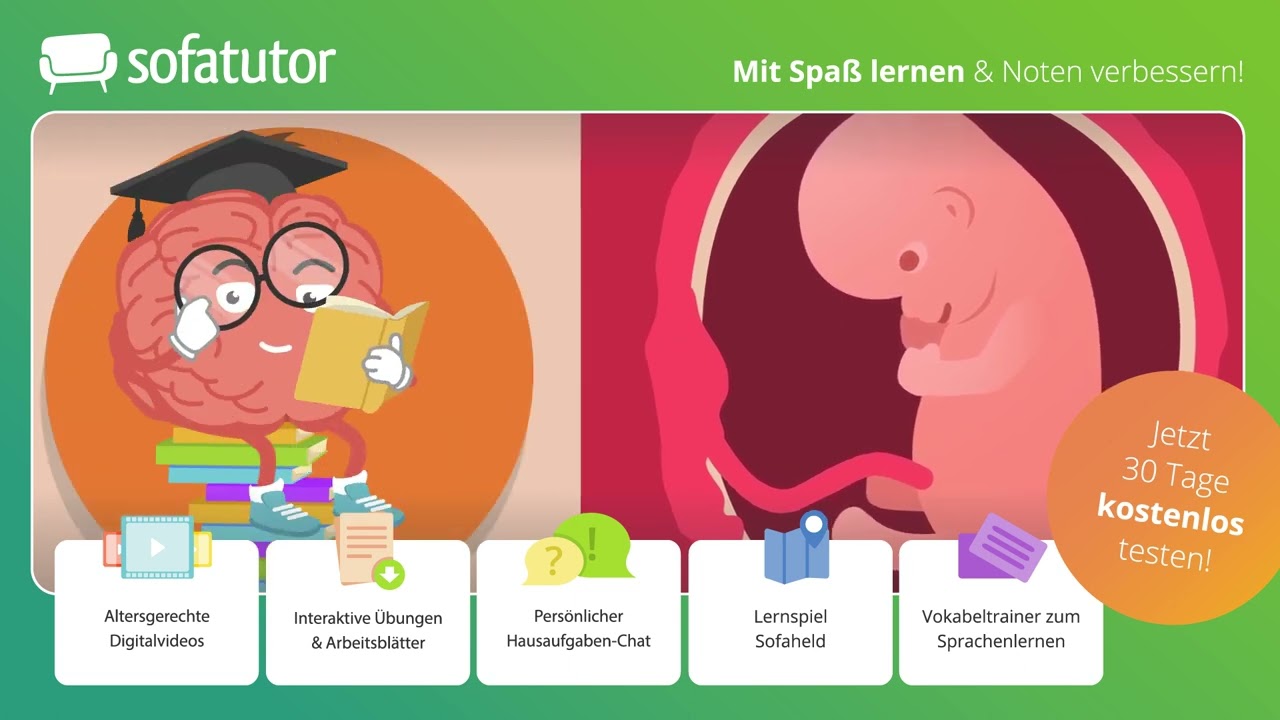 Schwangerschaft – Wie sich das Baby im Bauch entwickelt