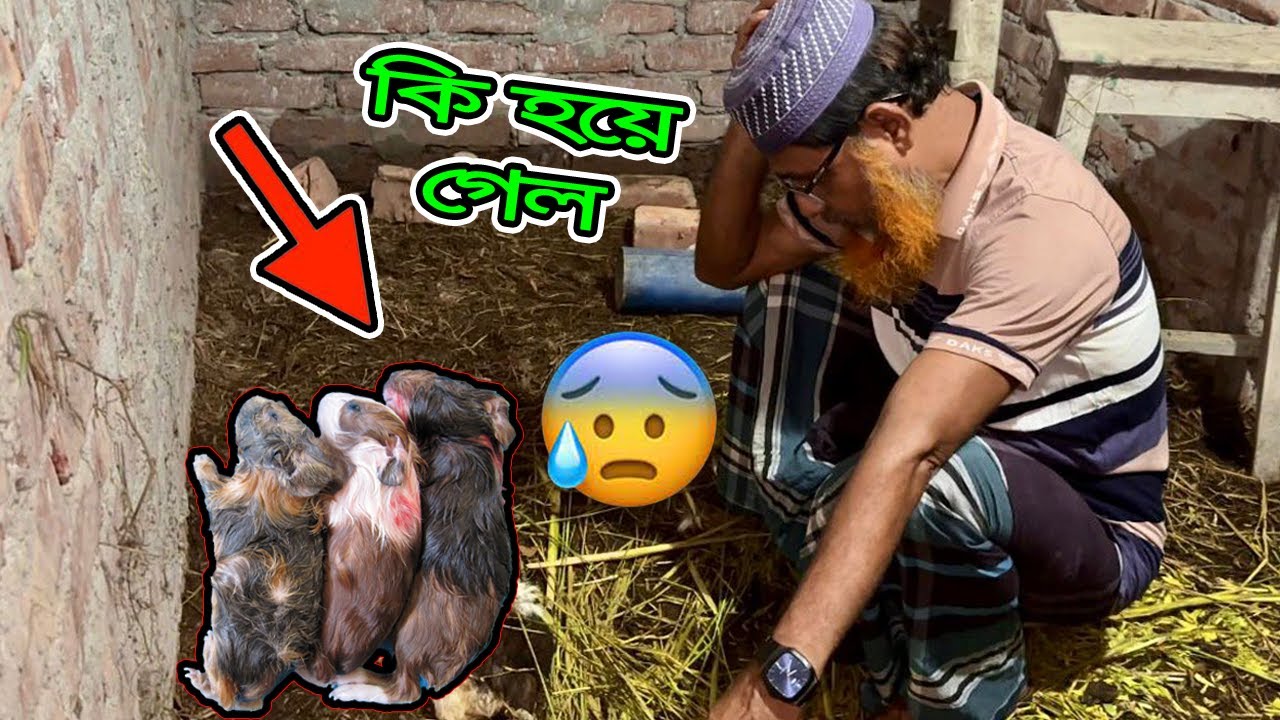 বার বার কেন আমাদের সাথে এমন হয়ে😥😥😥