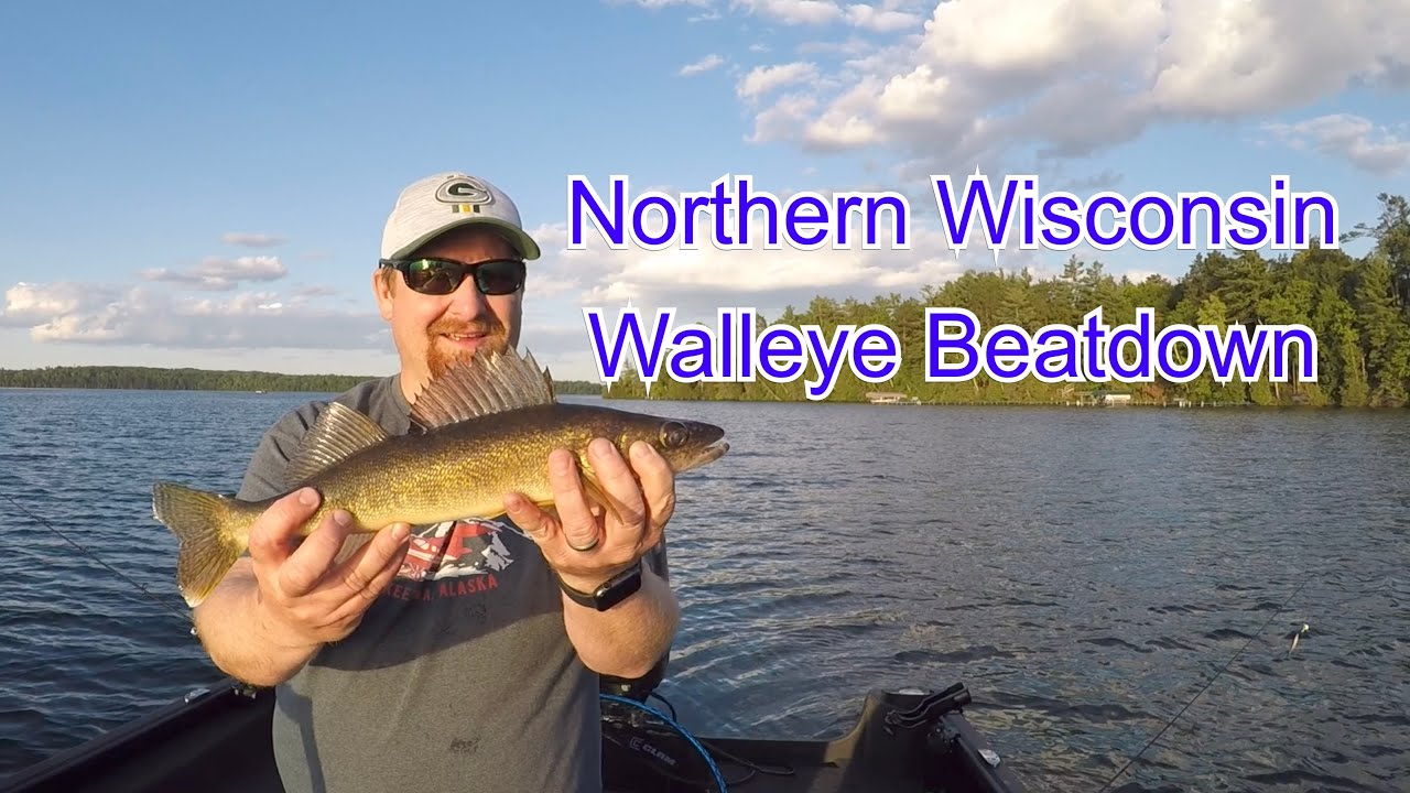 POUNDING Walleye on slip bobbers and jigs!