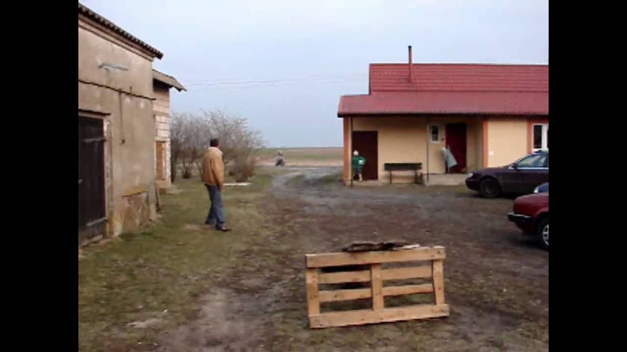 Motorynka diabeł ???