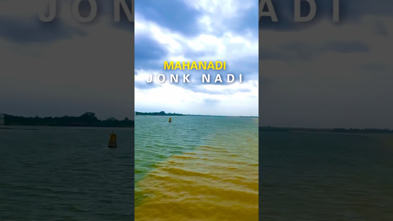Beautiful view of the confluence of Mahanadi in Shivrinaaraayan of Chhattisgarh 🏞️😍 #chhattisgarh #mahanadi #river