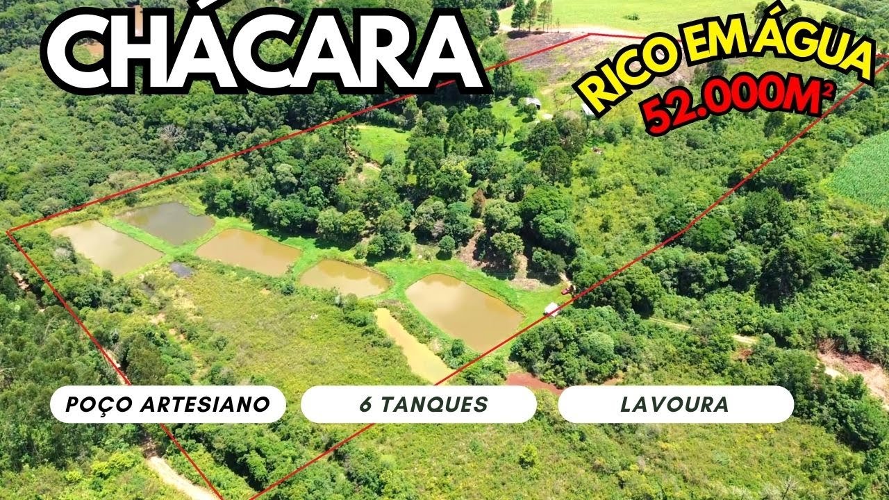 CHÁCARA EM QUITANDINHA | RICO EM ÁGUA | POMAR FORMADO | LAVOURA | 55KM DE CURITIBA-PR