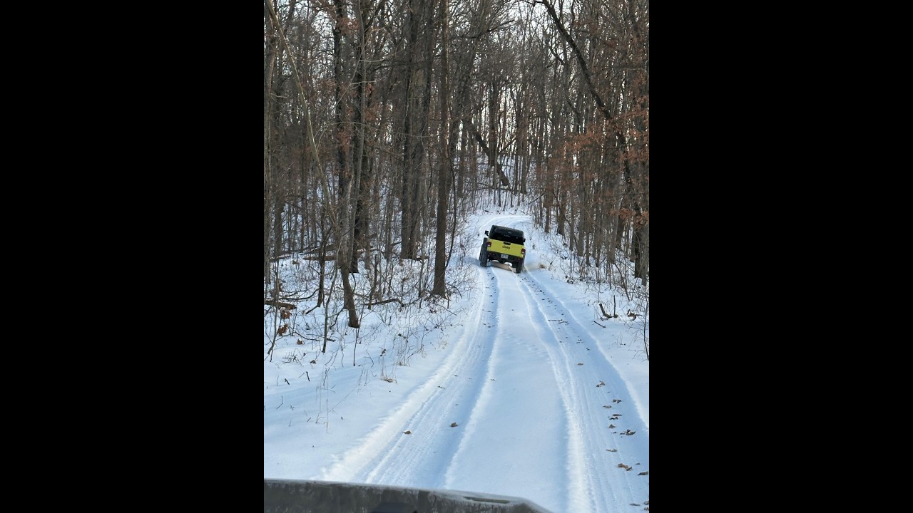 Snow Day in the Ozarks