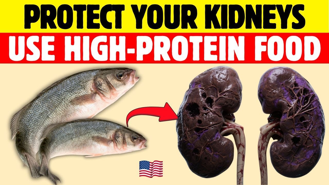 Protect Your Kidneys Before It’s Too Late: 8 HIGH-PROTEIN FOODS That HELP LOWER CREATININE After 50