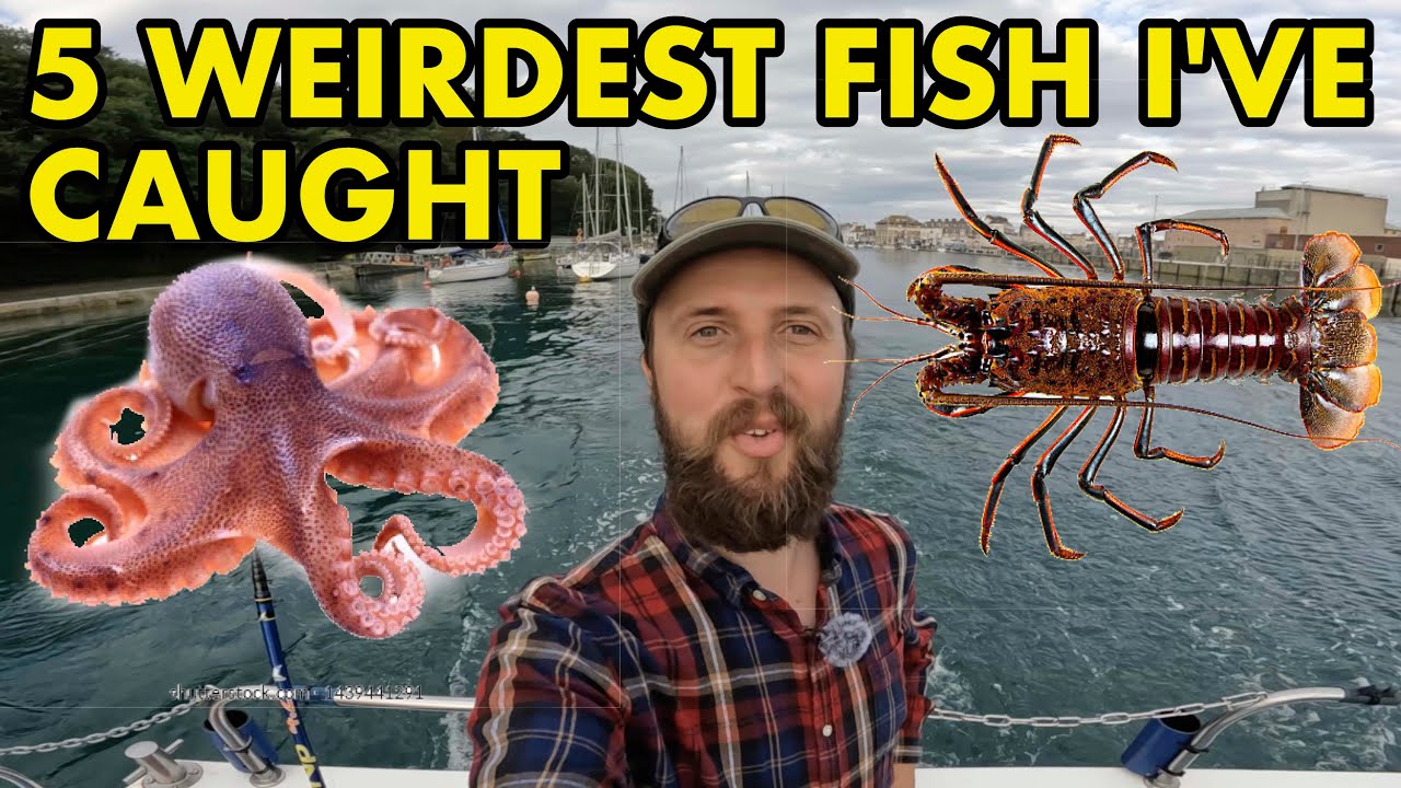 Мои 5 самых странных уловов в рыбалке