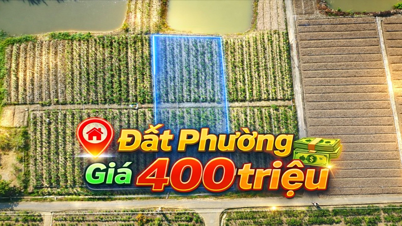 Đất cách trung tâm P. Gò Công 13km , P.Long Thuận, Đồng Tháp( Tiền Giang cũ) Chỉ 400 triệu.