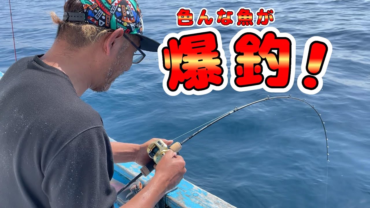 【福丸編】越前で色んな魚が爆釣！【釣りバカ越前帳】