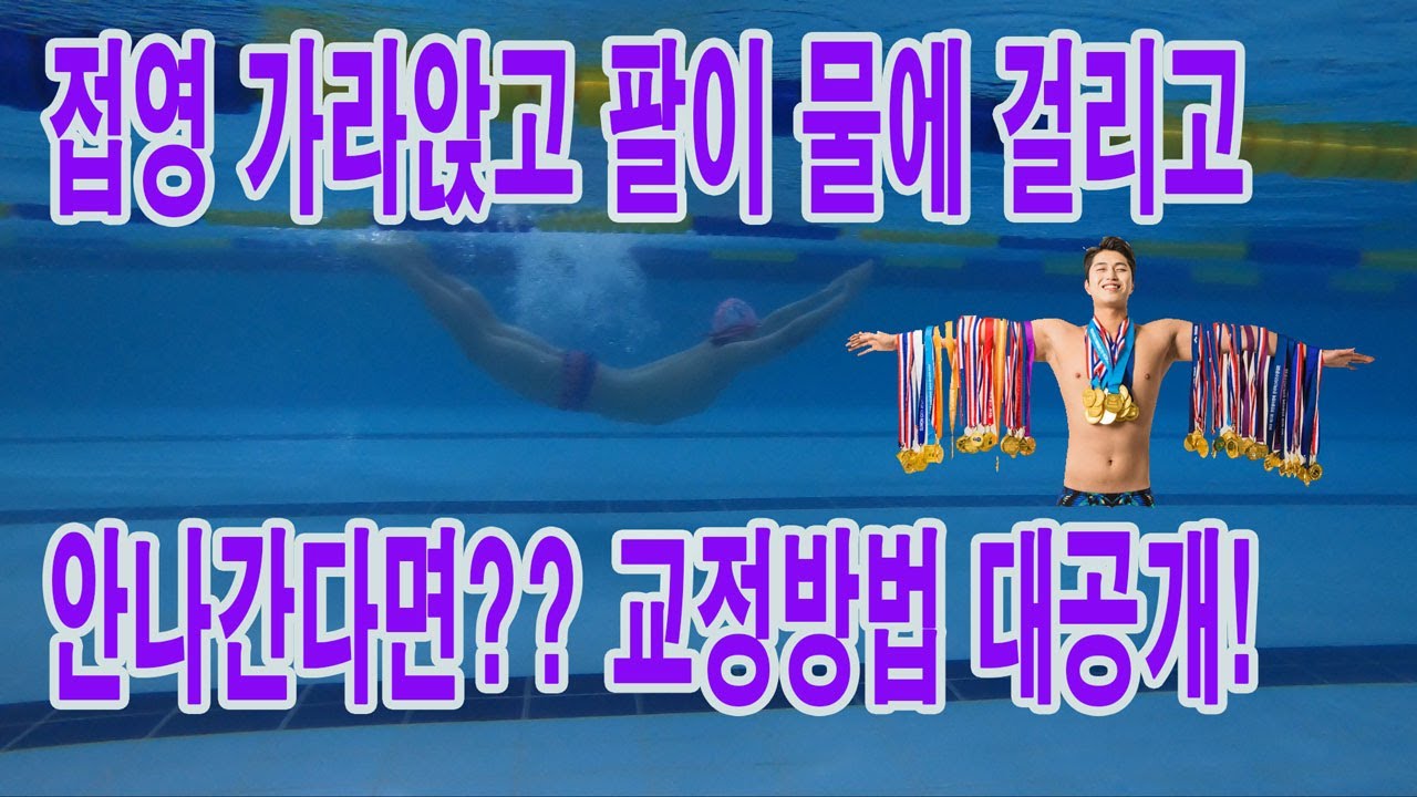 접영  나오기 힘들고 저항받고 박자못맞춘다면? 3가지 배워보자(접영쉽게 배우기) HOW TO SWIM BUTTERFLY
