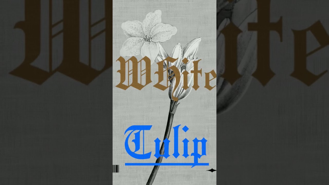 Ambient type beat 2026  |White tulip| 64| Prod E$