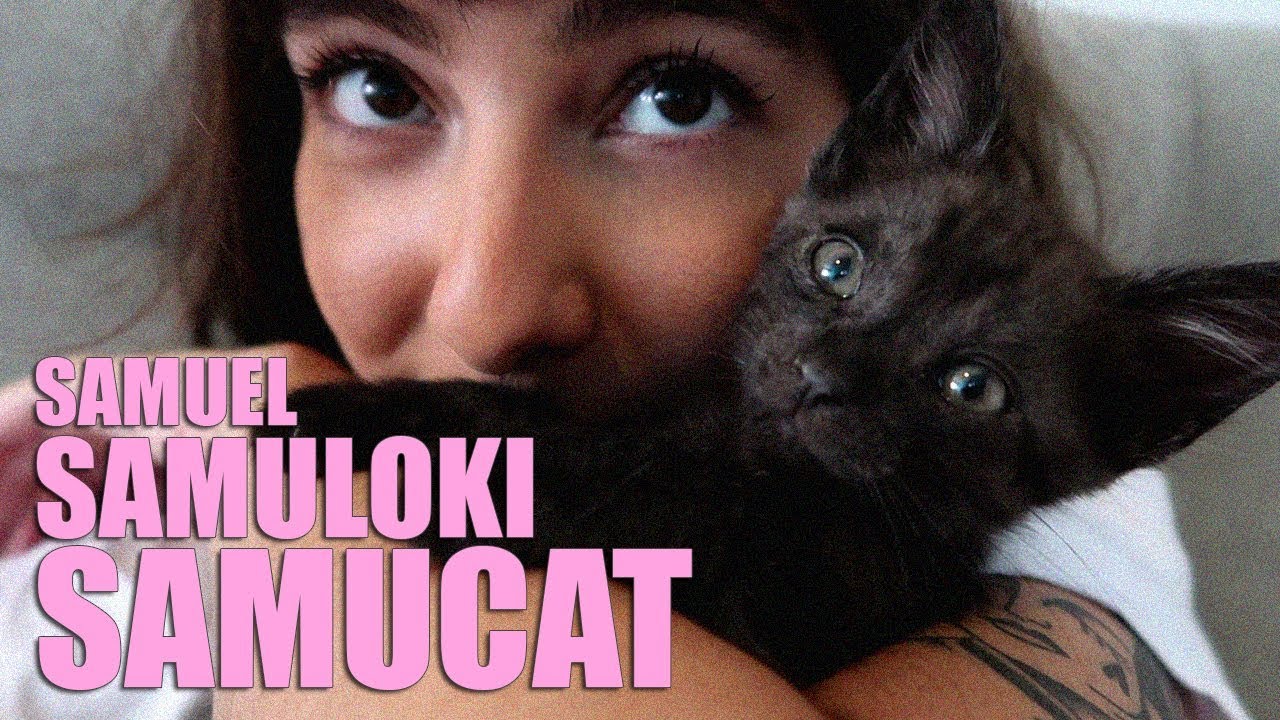 ADOTEI UM GATO! | Nath Araújo