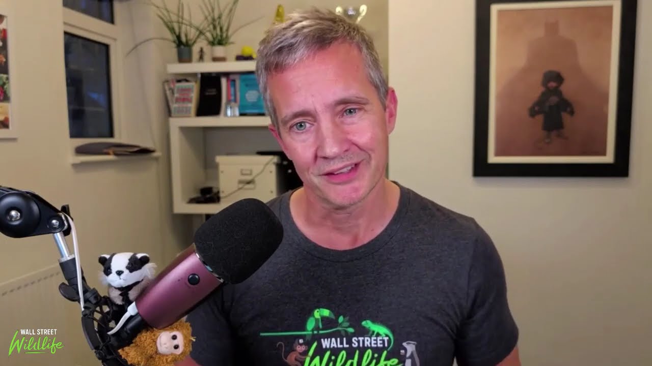 The Trade Desk - Good Buy or Goodbye?