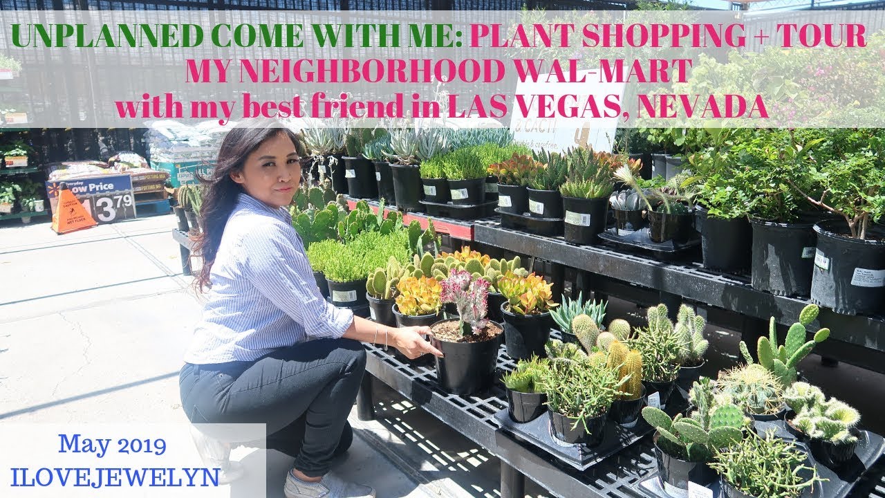 Come with me: Plant shopping + tour | My neighborhood Walmart | May 2019 | ILOVEJEWELYN