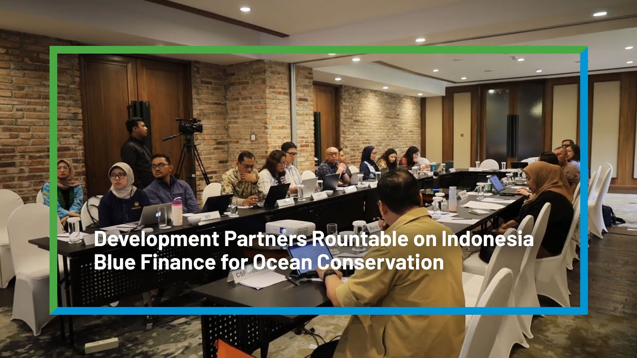 Development Partners Rountable on Indonesia Blue Finance for Ocean Conservation