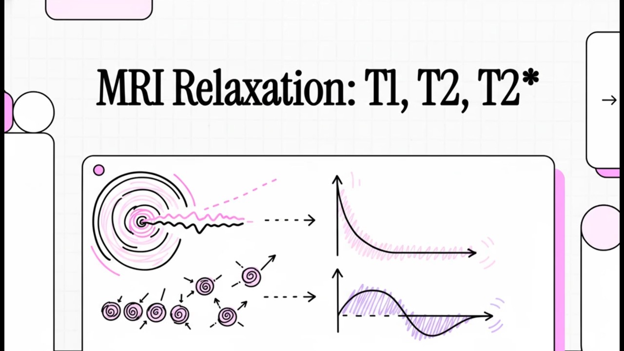 MRI Relaxation: T1, T2, T2*