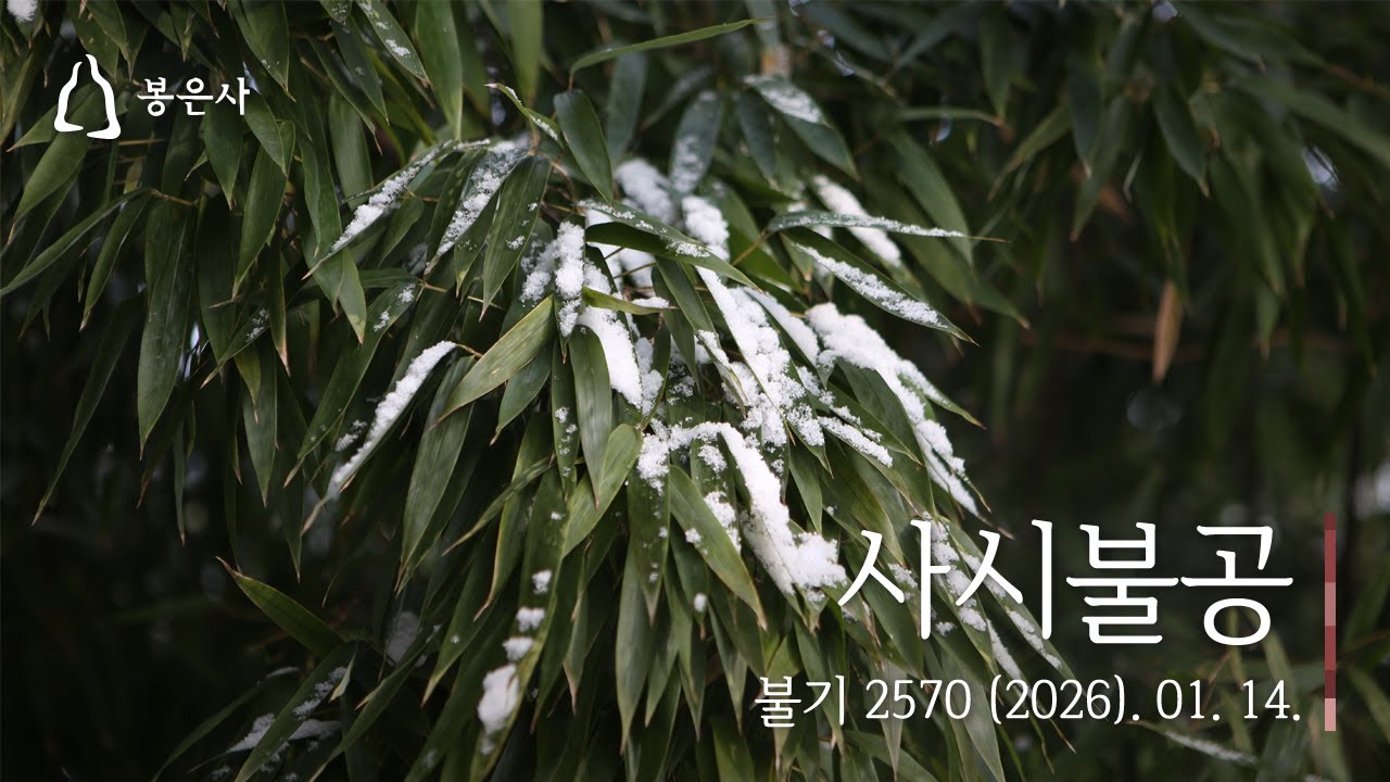 봉은사 사시불공(2026.01.14.)