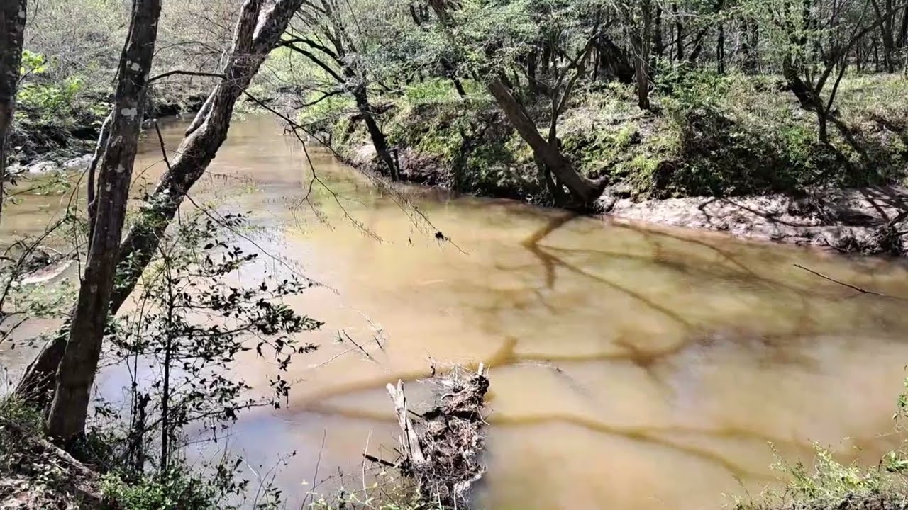 Hiking to the Broad River: Victoria Bryant State Park, Broad River Trail, in Northeast Georgia