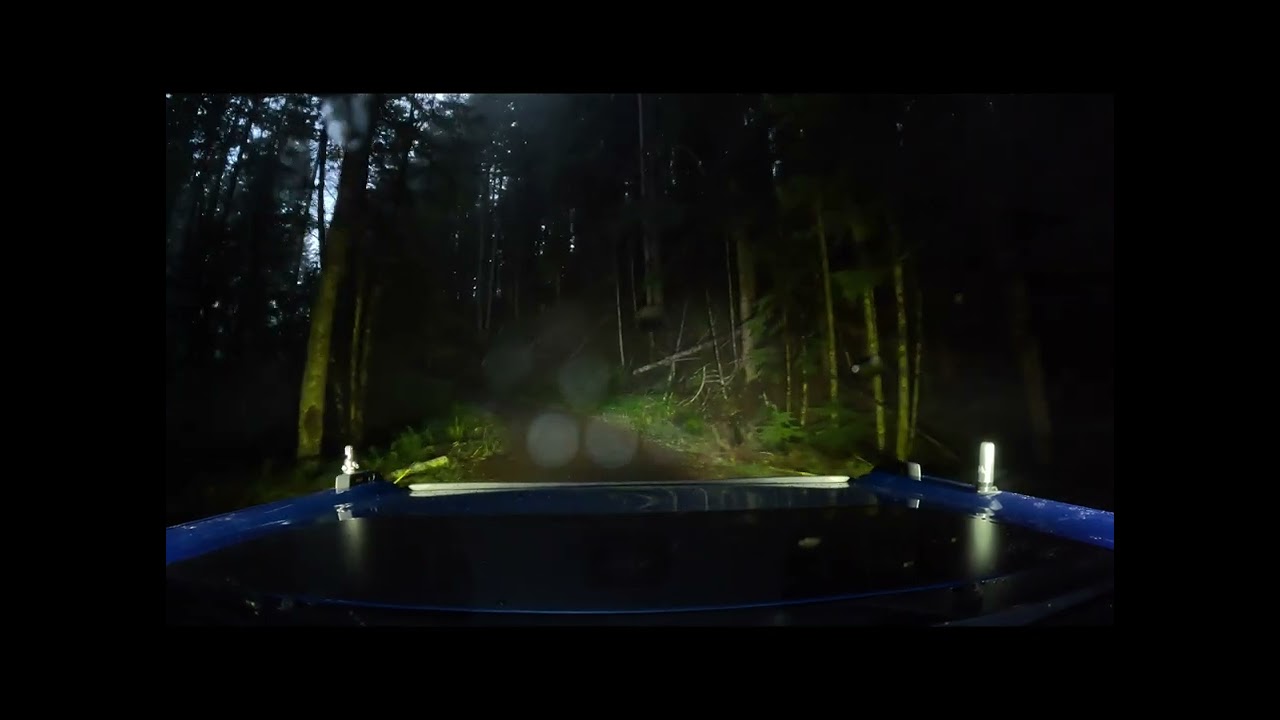 Logging Road Night Exploration    4K