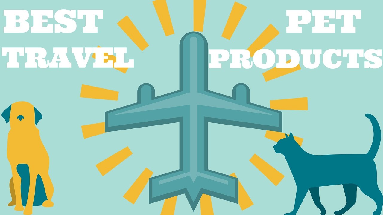 THE BEST PET TRAVEL PRODUCTS