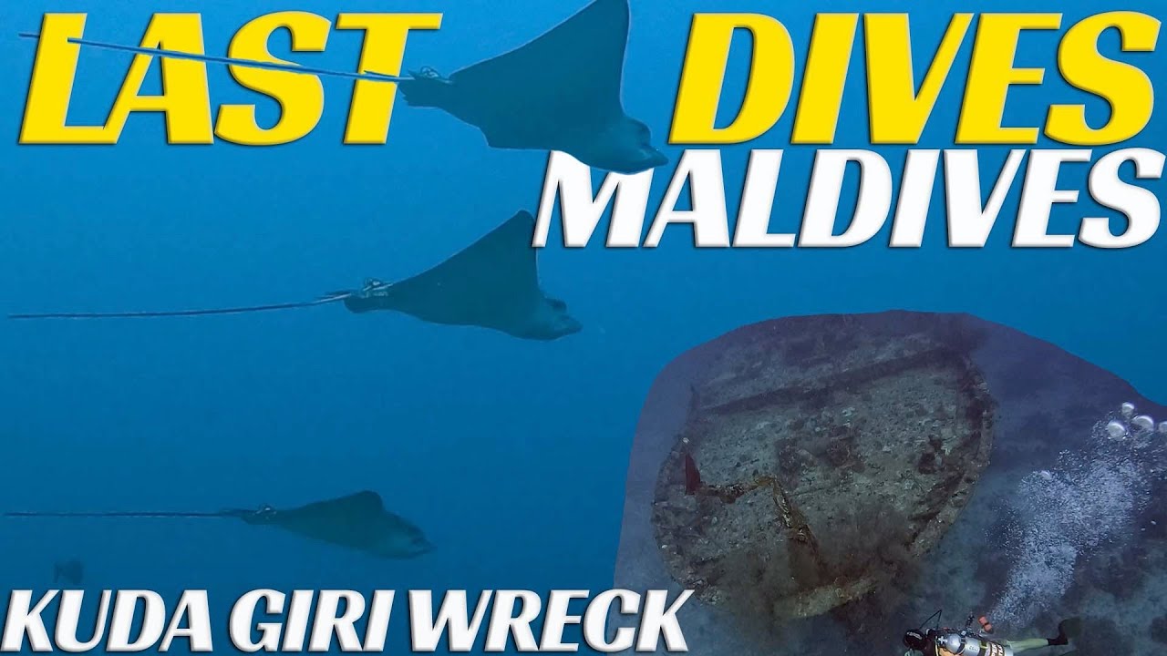 LAST Scuba Dives In The MALDIVES - Ep 87