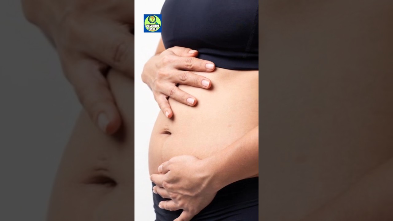&iquest;Por qu&eacute; se hincha el abdomen?
