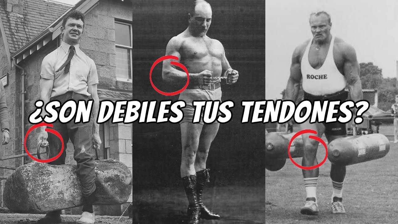 ¡Este es el BRUTAL EJERCICIO que TRABAJA todos tus TENDONES! Armwrestling, calistenia, JJB, boxeo...
