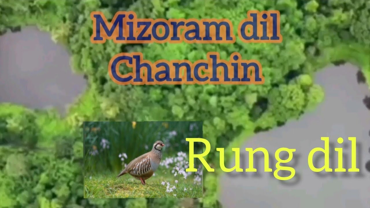 Mizoram dil chanchin# Rung dil