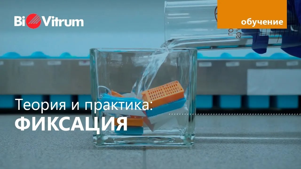 Вебинар 
