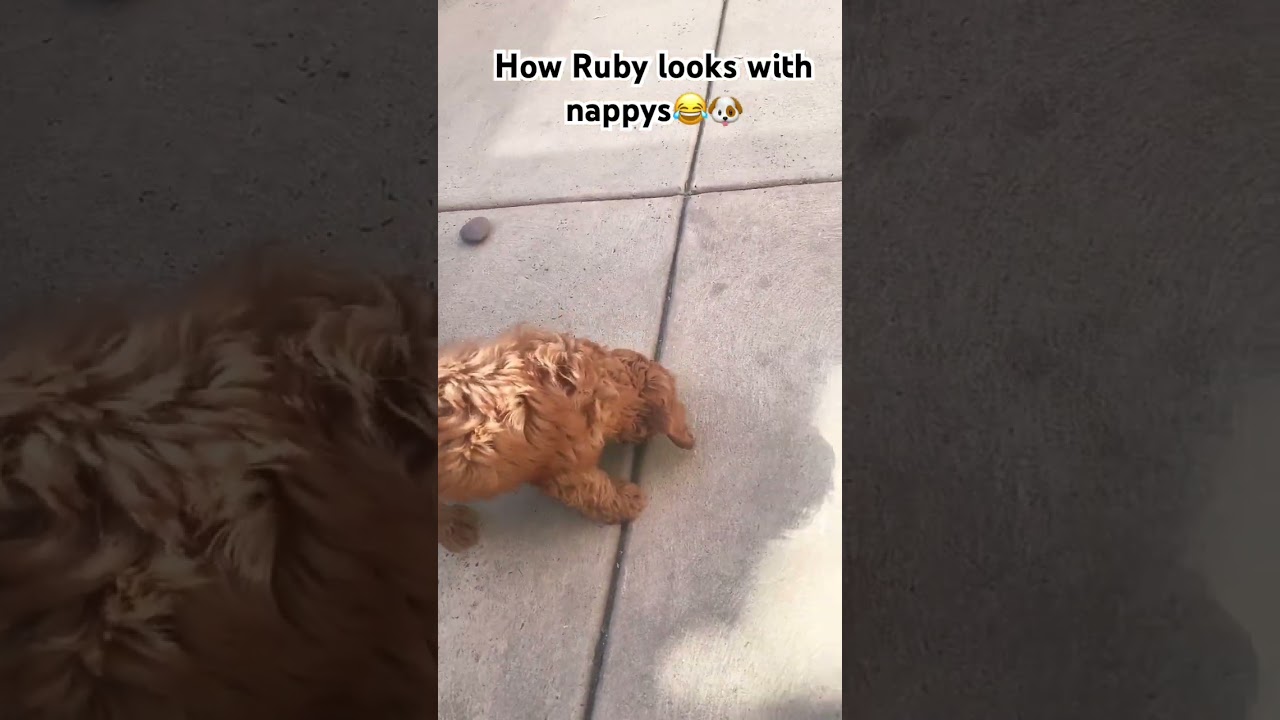 How Ruby looks with nappys