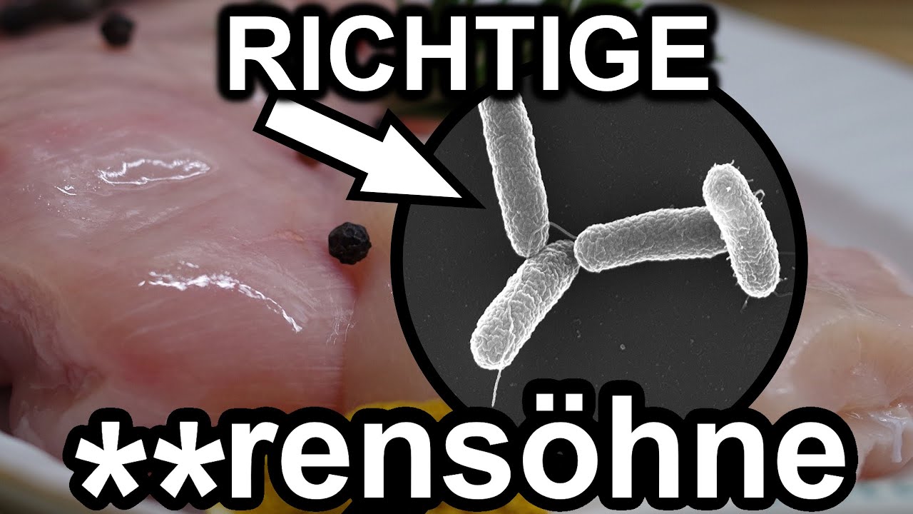 Salmonellen die **rensöhne (ft. CreativeRoman)