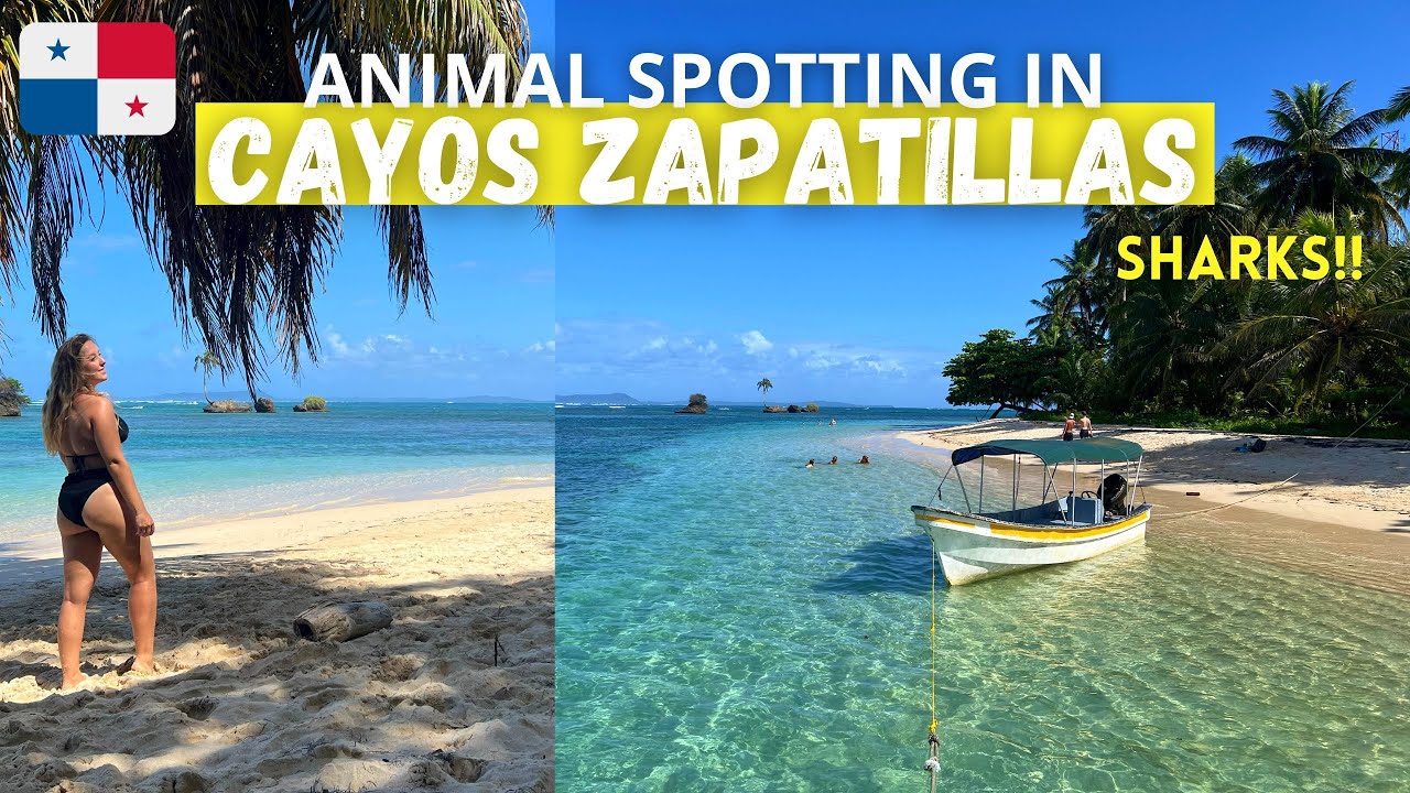 Cayos Zapatilla: My BEST Day in Bocas Del Toro, Panama | Central America Vlog 6