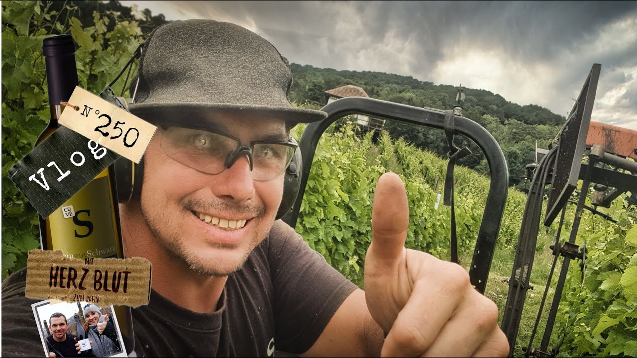 Altes Vehikel von Laubschneider, geht das noch??? | mit Herzblut zum Wein Vlog #250