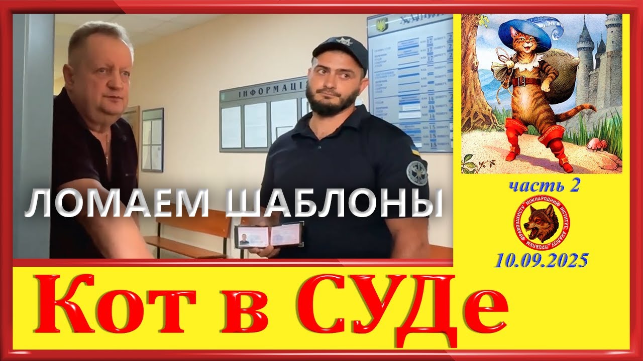 КОТ В СУДЕ -МИАПП, ЛОМАЕМ ШАБЛОНЫ