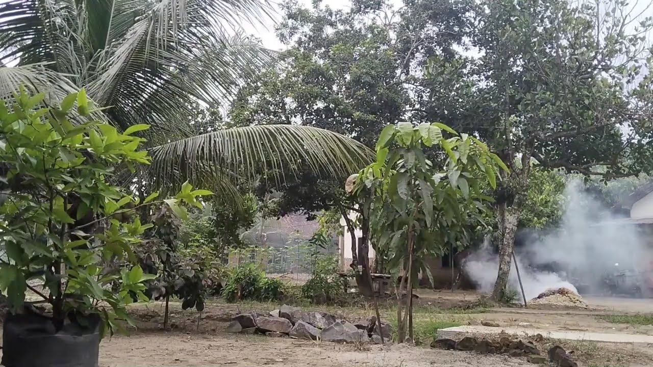Nostalgia Lagu Lama Sejuta Kenangan Paling Populer Bikin Hati Meleleh