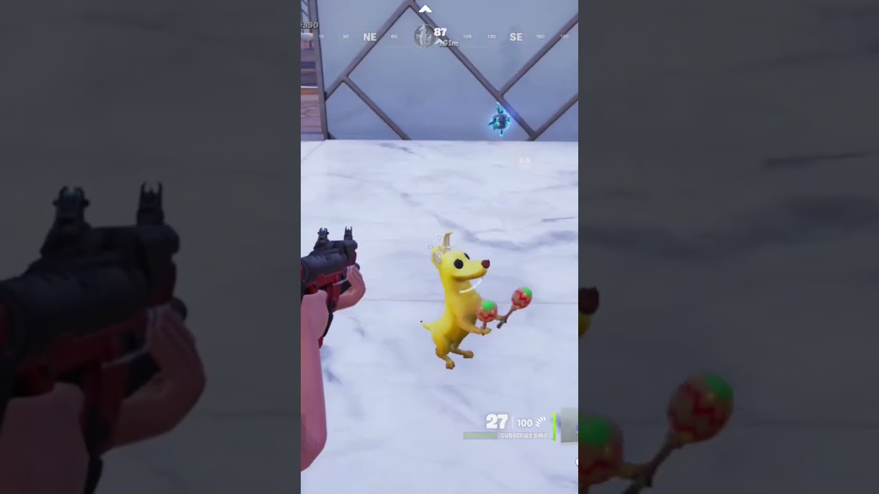 Why did our teammate try to eliminate the dog, I tried to get revenge!? - Fortnite | Blitz Royale